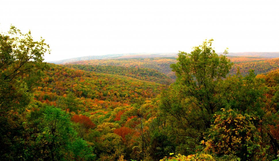 Ozark Highlands in October 2009, Cass, Arkansas