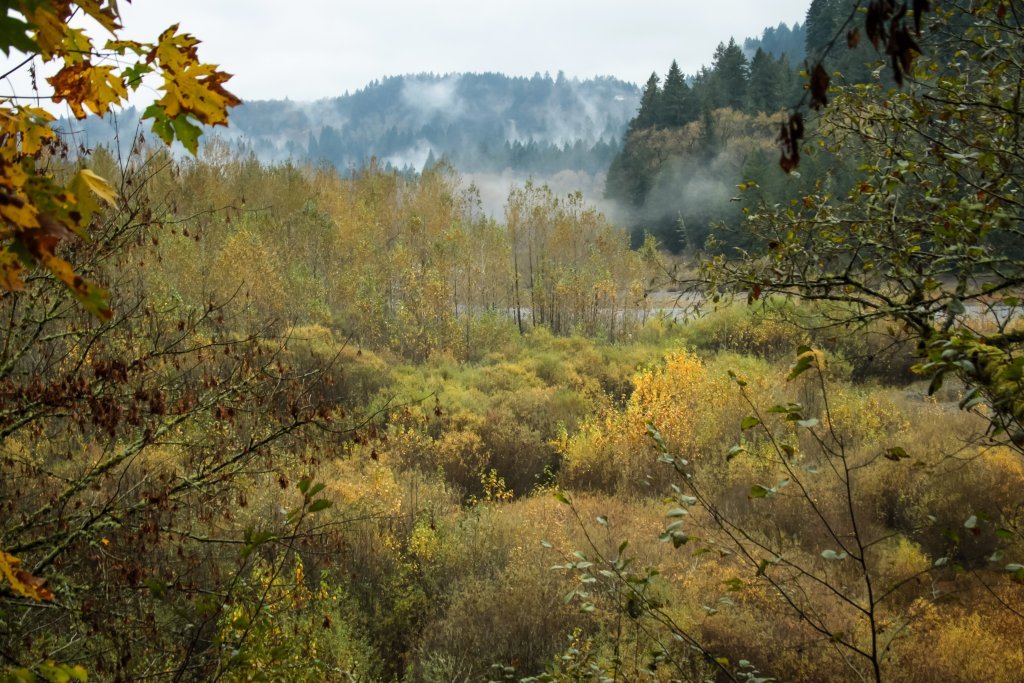 The Sandy River in November, Corbett, Oregon