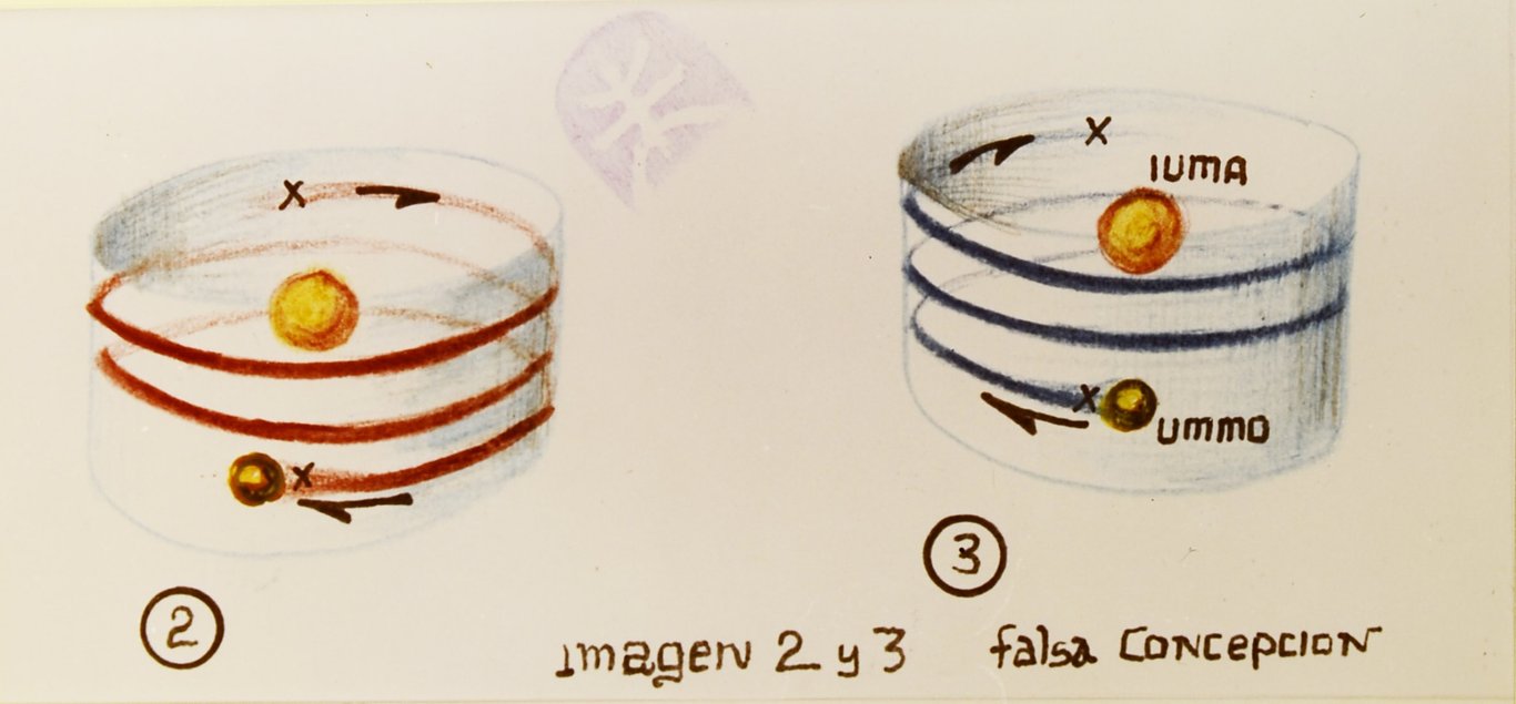 Illustration of the diplo-helicoidal trajectory