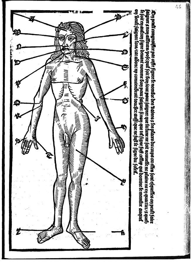 Anatomical plate in the 1508 kalendrier