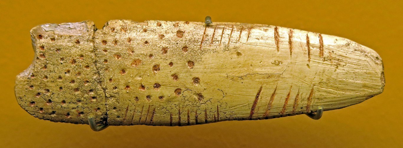 The back side of the Blanchard bone.