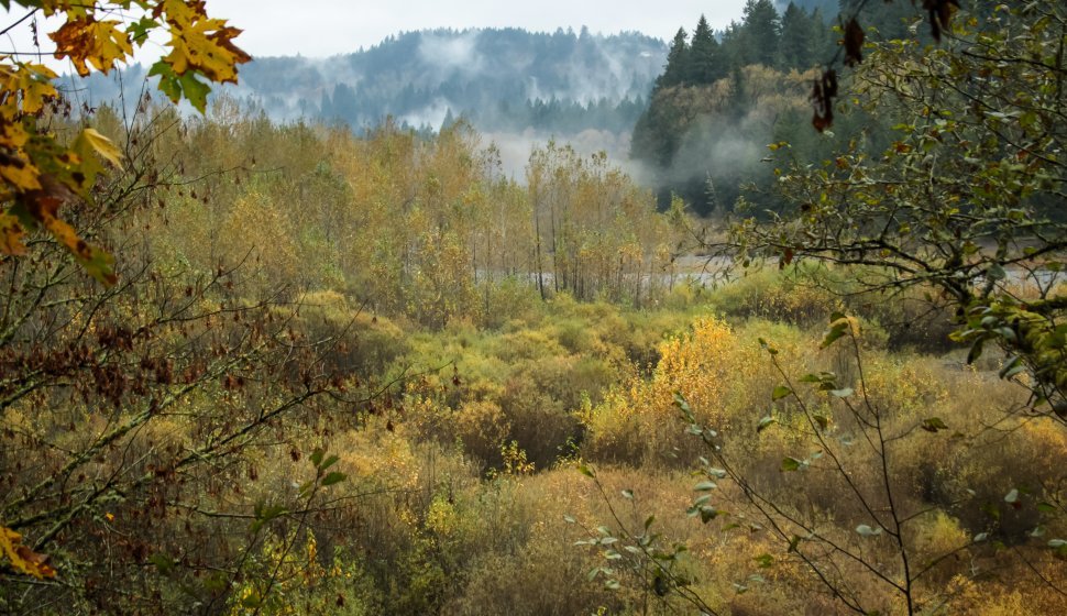 The Sandy River in November, Corbett, Oregon